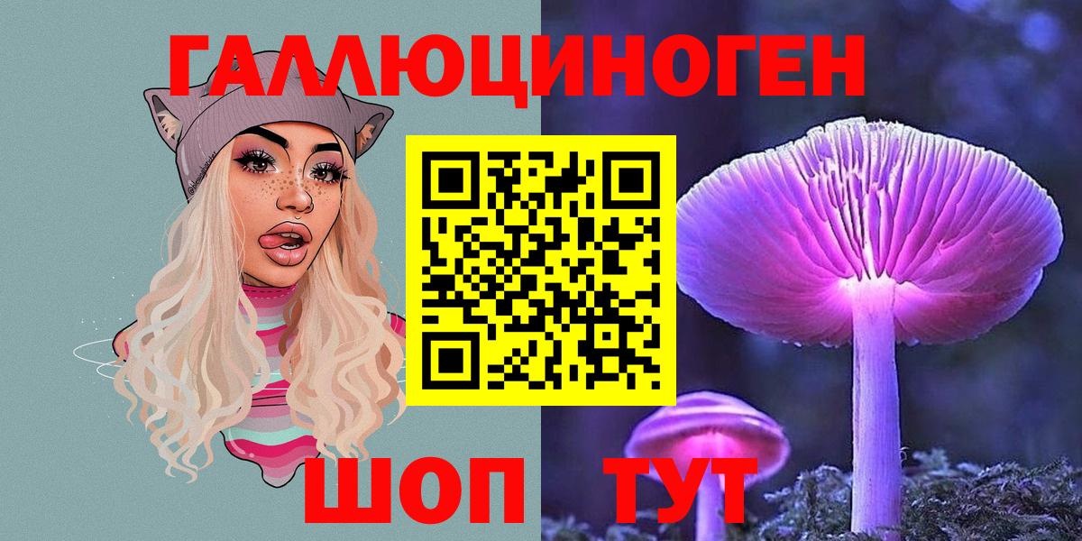 Псилоцибиновые грибы мицелий  хочу   Вход с VPN  Азнакаево  Псилоцибиновые грибы Psilocybine cubensis 