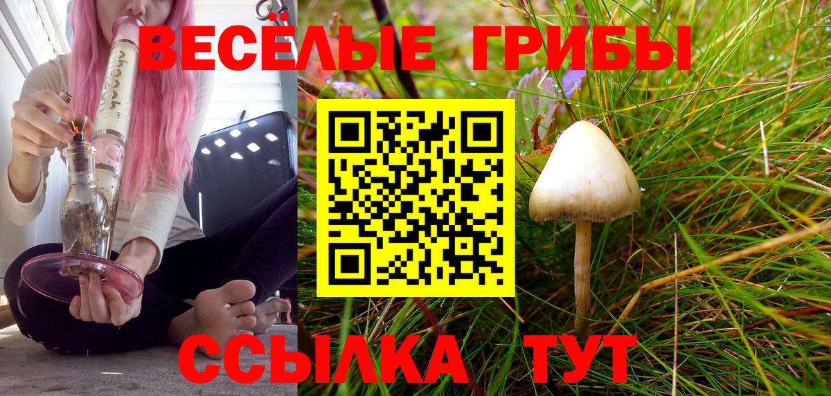 Псилоцибиновые грибы прущие грибы Азнакаево